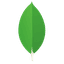 mongodb